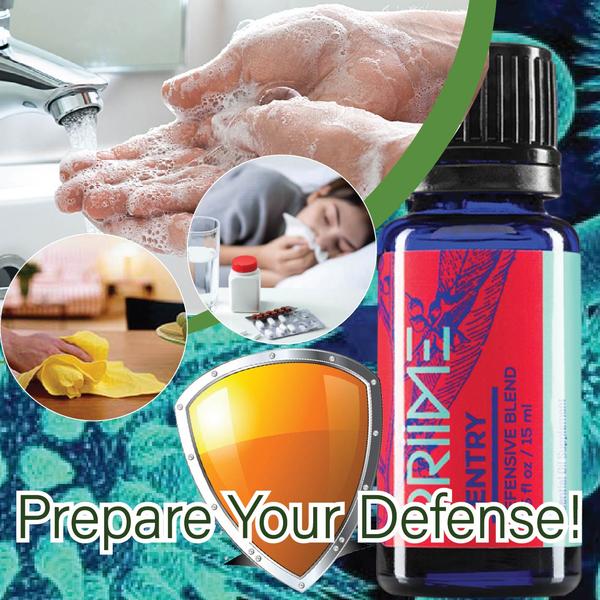Prepare Your Defense!