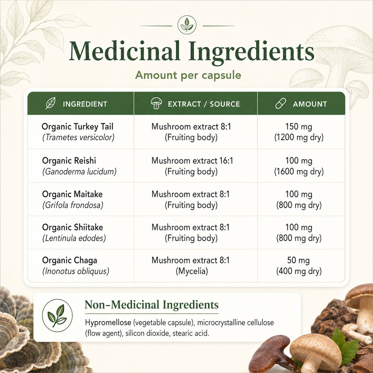 5 Defenders® Organic Mushroom Blend Capsules - BiosenseClinic
