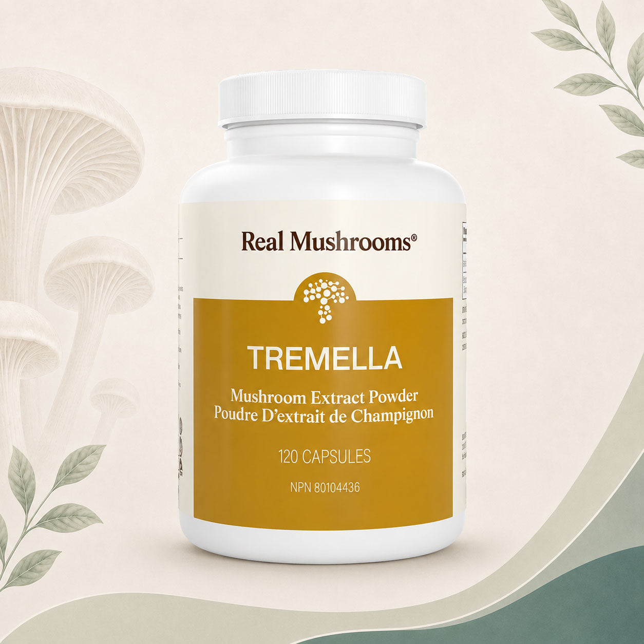 Tremella - Organic Tremella Extract Capsules - BiosenseClinic