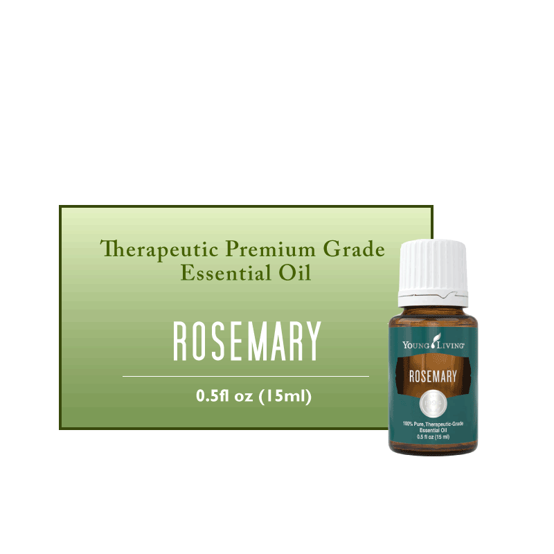 YL Rosemary Essential Oil - BiosenseClinic.ca