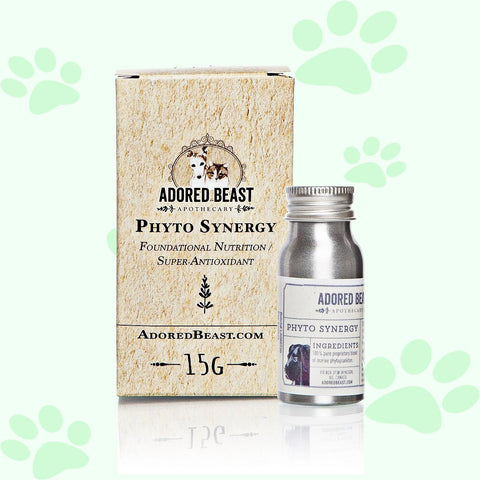 Adored Beast Phyto Synergy | Super Antioxidant 15g - biosenseclinic.ca